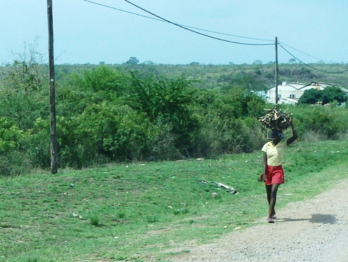Woman carrying firewood.